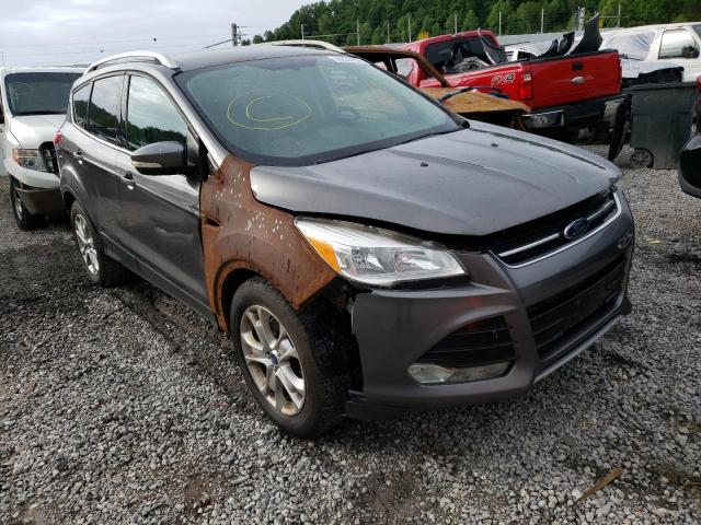 FORD ESCAPE TIT 2014 with VIN 1FMCU9J99EUA07608 - Photo from auction