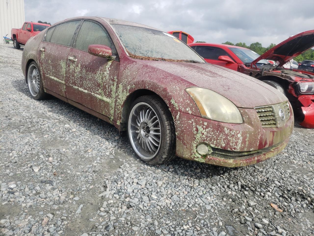 Photo 9 from auction – 2005 NISSAN MAXIMA SE with VIN 1N4BA41E25C847122