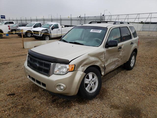 Photo 2 from auction – 2010 FORD ESCAPE XLT with VIN 1FMCU9D75AKC80075