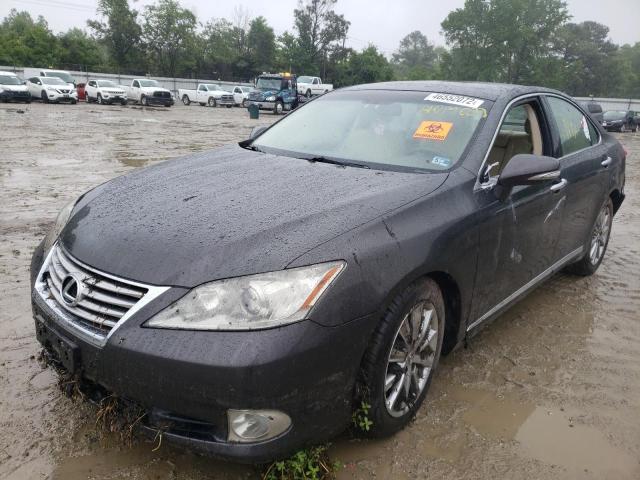 Photo 2 from auction – 2010 LEXUS ES 350 with VIN JTHBK1EG9A2414283