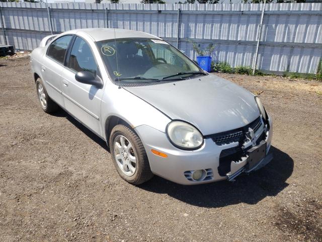 DODGE NEON SX 2. 2004 with VIN 1B3ES46C54D514449 - Photo from auction