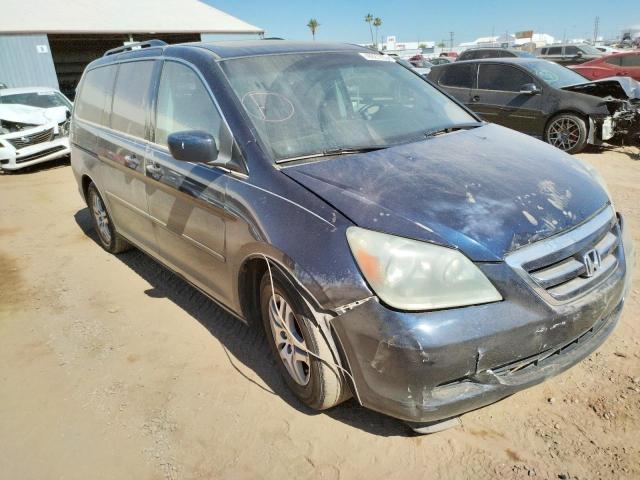 HONDA ODYSSEY EX 2006 with VIN 5FNRL38636B033397 - Photo from auction