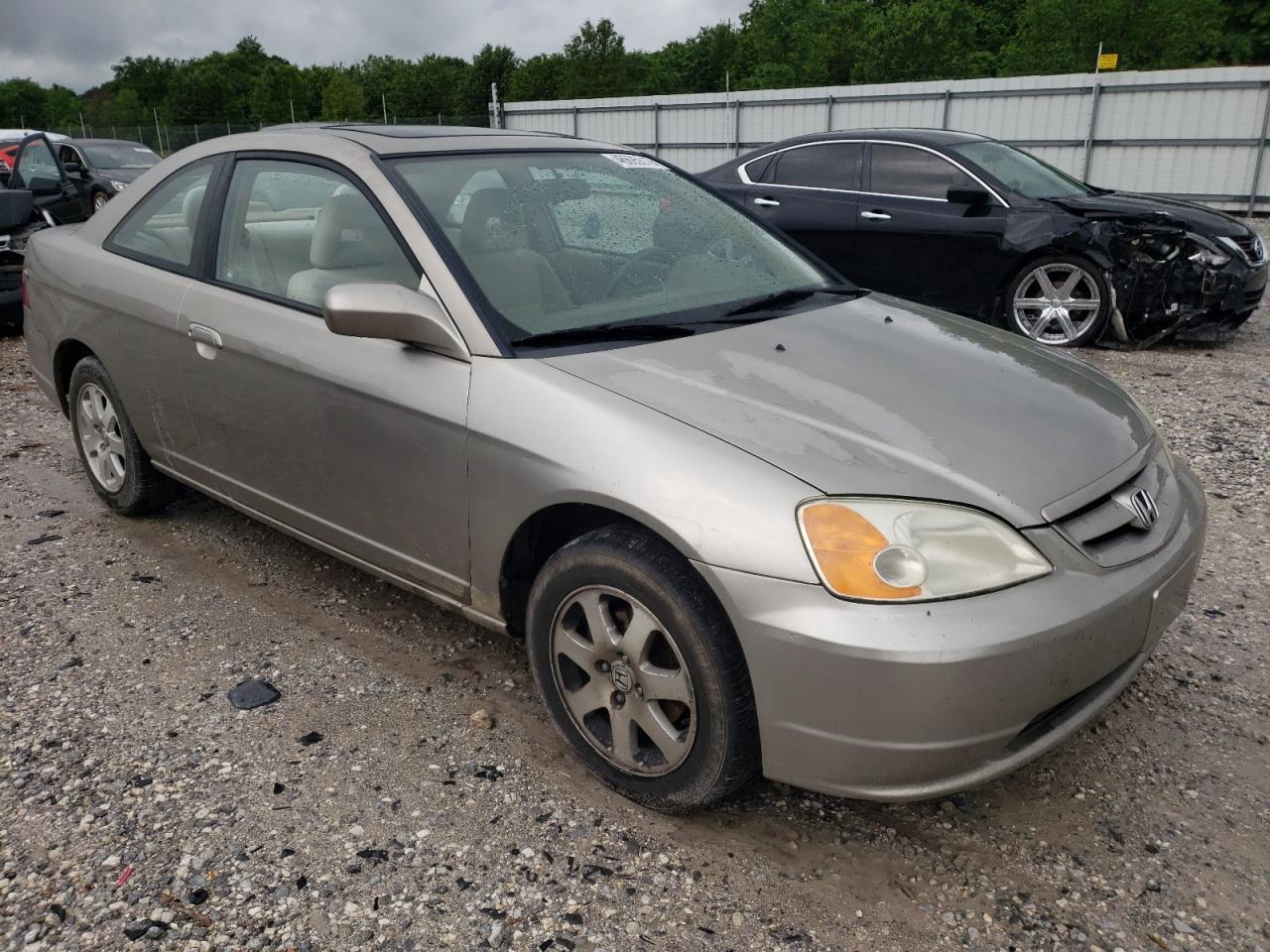 HONDA CIVIC EX 2003 with VIN 1HGEM229X3L062155 - Photo from auction