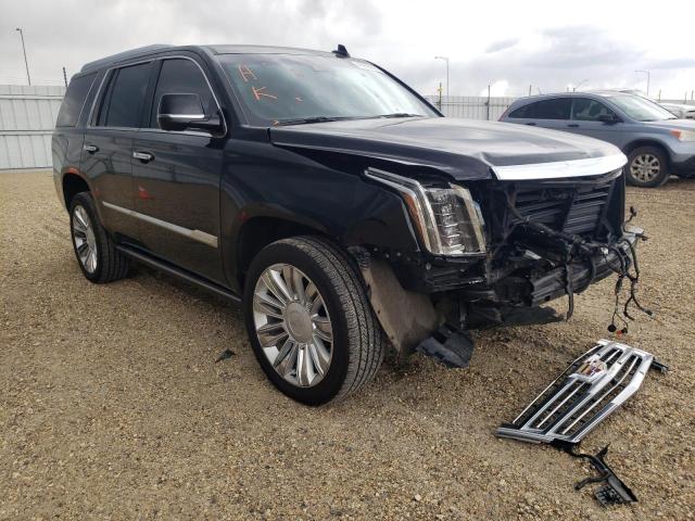 CADILLAC ESCALADE P 2016 with VIN 1GYS4DKJ6GR446597 - Photo from auction