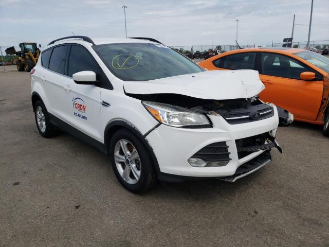 FORD ESCAPE SE 2014 with VIN 1FMCU9G96EUE09593 - Photo from auction