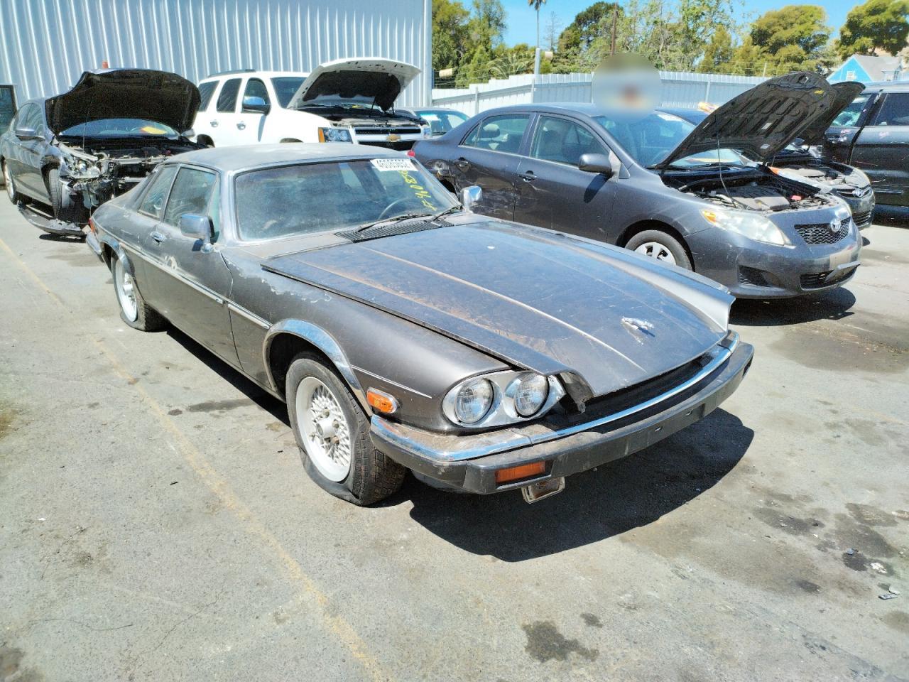 JAGUAR XJS 1988 with VIN SAJNA5847JC141222 - Photo from auction