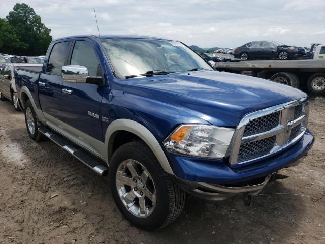 DODGE RAM 1500 2009 with VIN 1D3HV13T69J512439 - Photo from auction