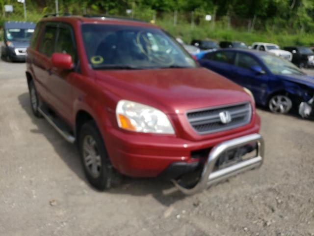 HONDA PILOT EXL 2005 with VIN 5FNYF18525B000114 - Photo from auction