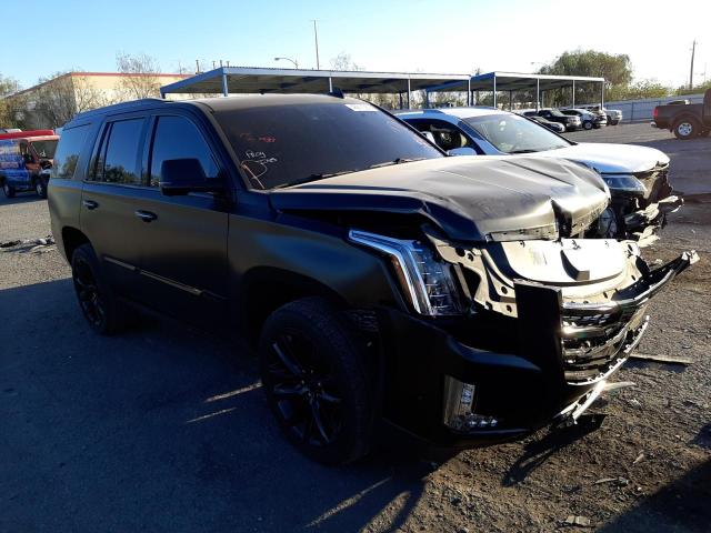 CADILLAC ESCALADE P 2019 with VIN 1GYS4DKJ2KR246664 - Photo from auction