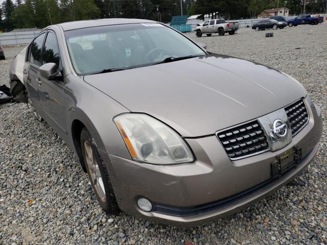 NISSAN MAXIMA SE 2004 with VIN 1N4BA41E24C804754 - Photo from auction