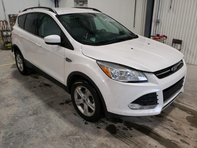 FORD ESCAPE SE 2016 with VIN 1FMCU0GX9GUC77121 - Photo from auction