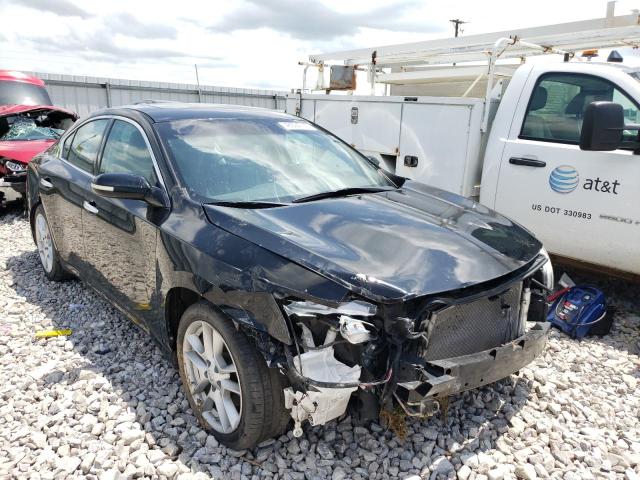 NISSAN MAXIMA S 2010 with VIN 1N4AA5AP1AC854561 - Photo from auction