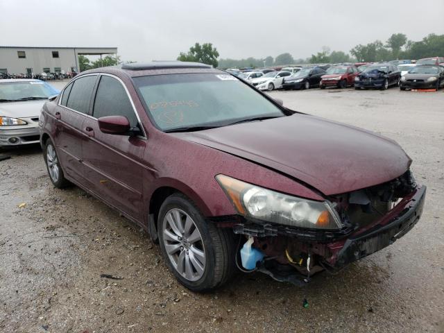 HONDA ACCORD EXL 2011 with VIN 1HGCP2F82BA075945 - Photo from auction