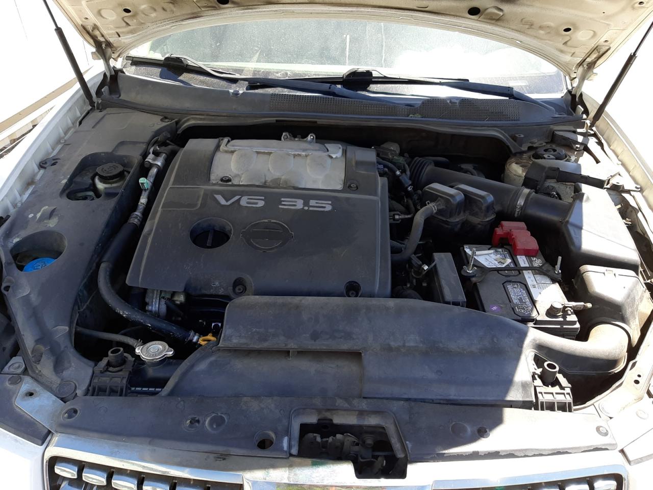 Photo 7 from auction – 2004 NISSAN MAXIMA SE with VIN 1N4BA41E64C825512