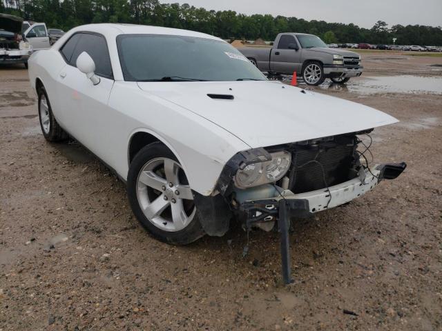 DODGE CHALLENGER 2013 with VIN 2C3CDYAG8DH742423 - Photo from auction