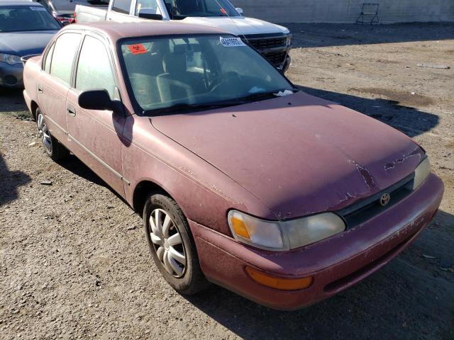 TOYOTA COROLLA LE 1995 with VIN 2T1AE09B6SC117360 - Photo from auction