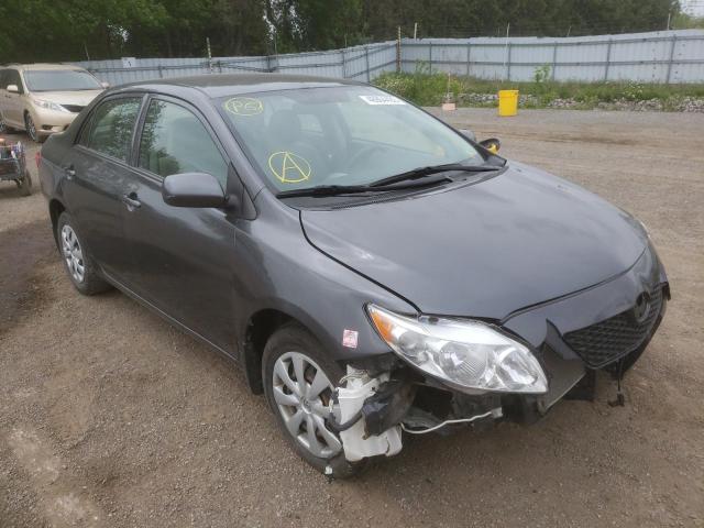 TOYOTA COROLLA BA 2009 with VIN 2T1BU40E29C146127 - Photo from auction