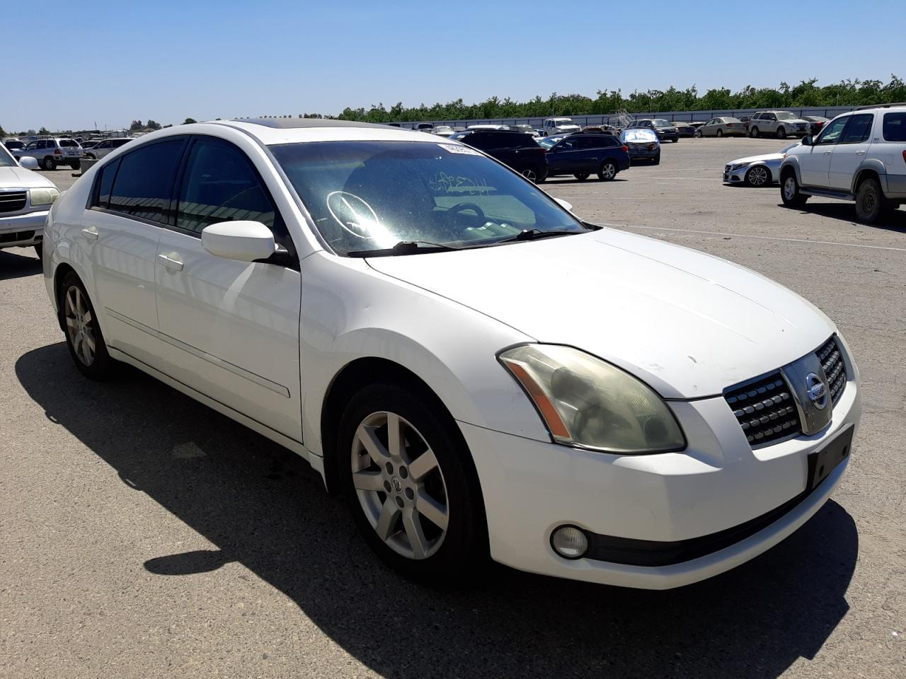 NISSAN MAXIMA SE 2004 with VIN 1N4BA41E64C825512 - Photo from auction