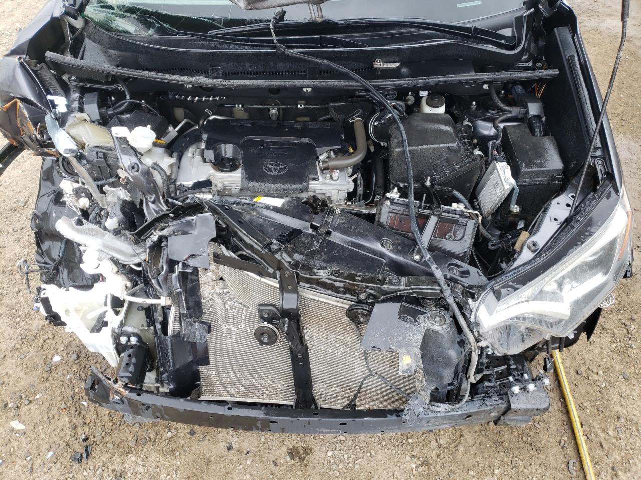 Photo 7 from auction – 2016 TOYOTA RAV4 XLE with VIN 2T3RFREV1GW459753