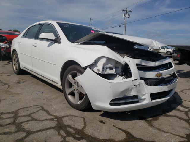 CHEVROLET MALIBU 1LT 2011 with VIN 1G1ZC5E13BF140369 - Photo from auction