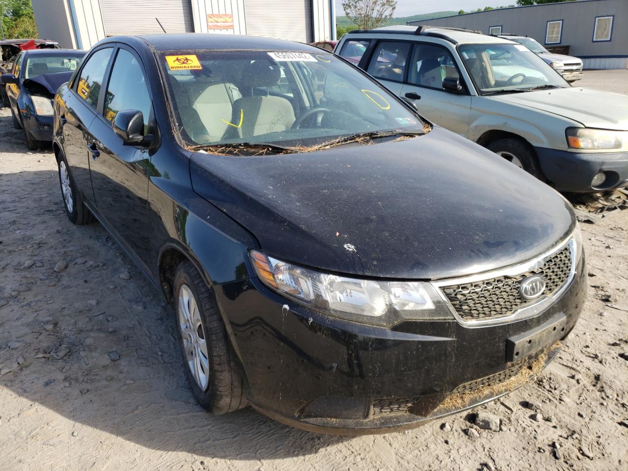 KIA FORTE LX 2012 z numerem VIN KNAFT4A25C5625894 - Zdjęcie z aukcji