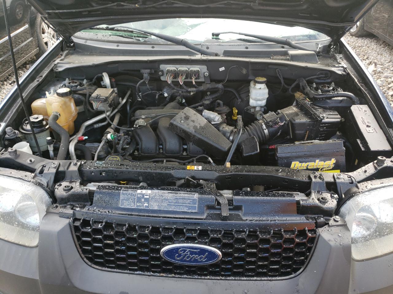 Photo 7 from auction – 2007 FORD ESCAPE XLT with VIN 1FMYU93157KA97951