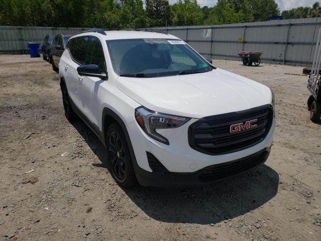 GMC TERRAIN SL 2020 with VIN 3GKALTEVXLL101088 - Photo from auction
