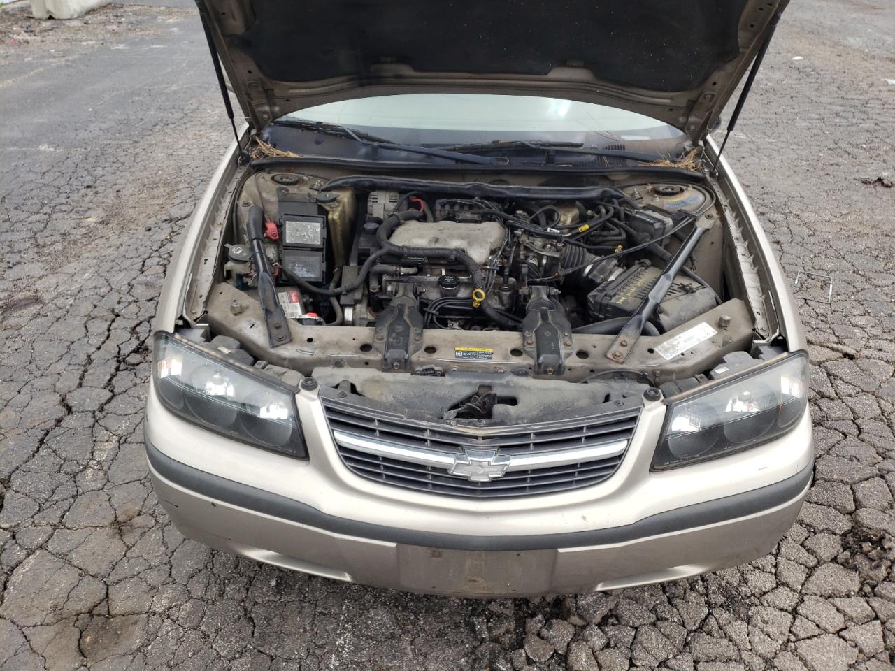 Photo 7 from auction – 2003 CHEVROLET IMPALA with VIN 2G1WF52E639153127