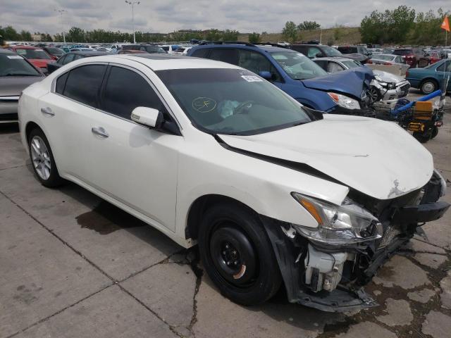 NISSAN MAXIMA S 2009 with VIN 1N4AA51E29C804729 - Photo from auction