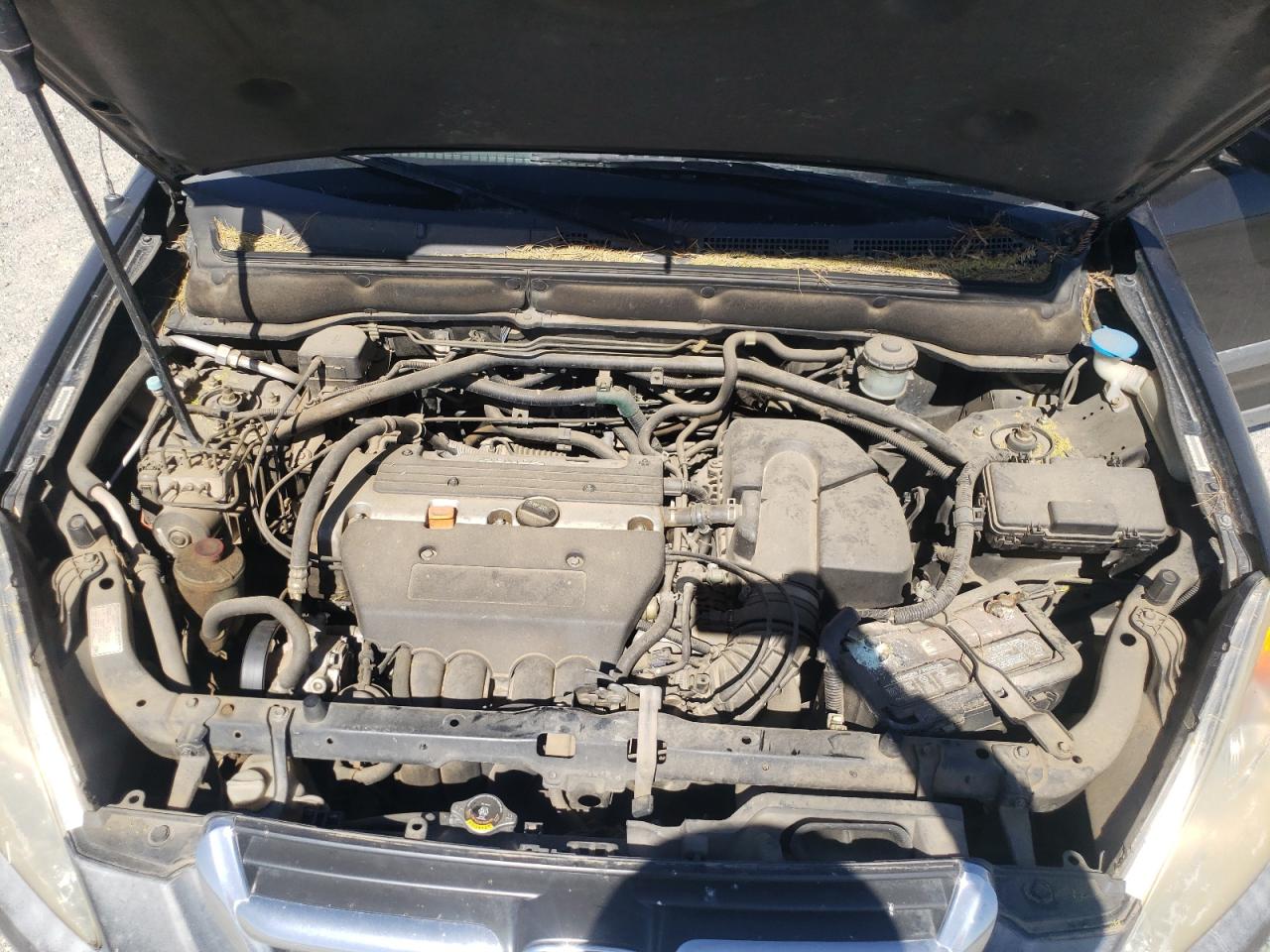 Photo 7 from auction – 2003 HONDA CR-V EX with VIN JHLRD78873C034229