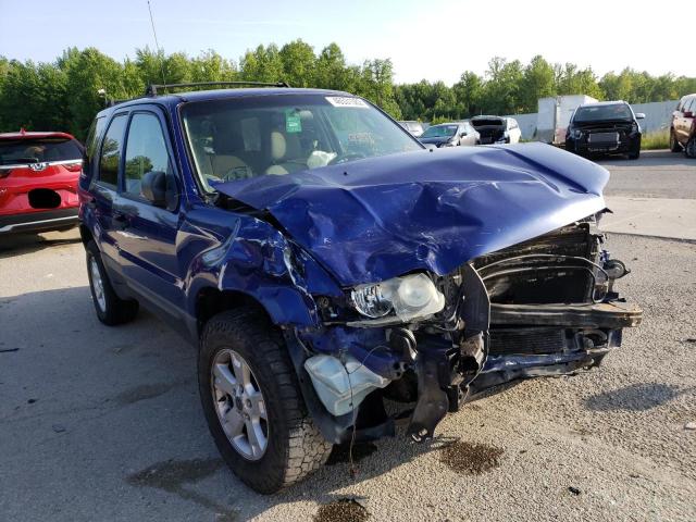 FORD ESCAPE XLT 2005 with VIN 1FMYU93195KC91833 - Photo from auction