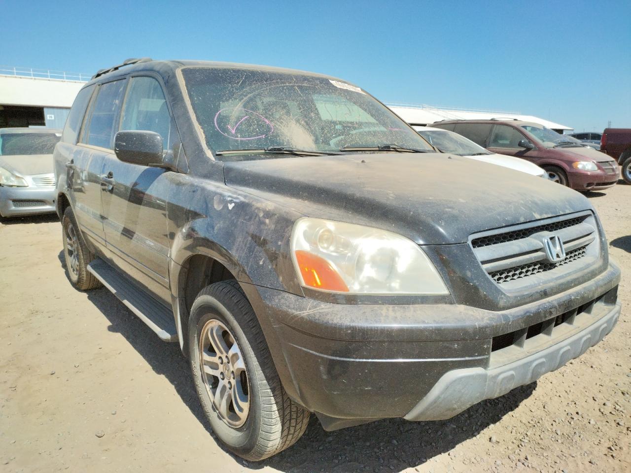 HONDA PILOT EXL 2004 with VIN 5FNYF185X4B000487 - Photo from auction