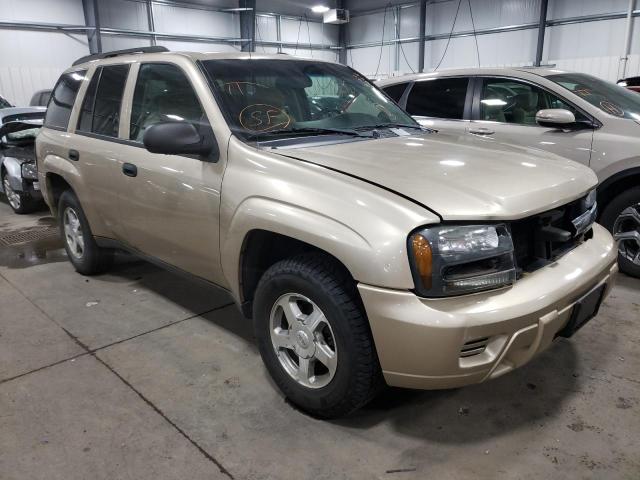 CHEVROLET TRAILBLAZE 2006 with VIN 1GNDT13S362110332 - Photo from auction