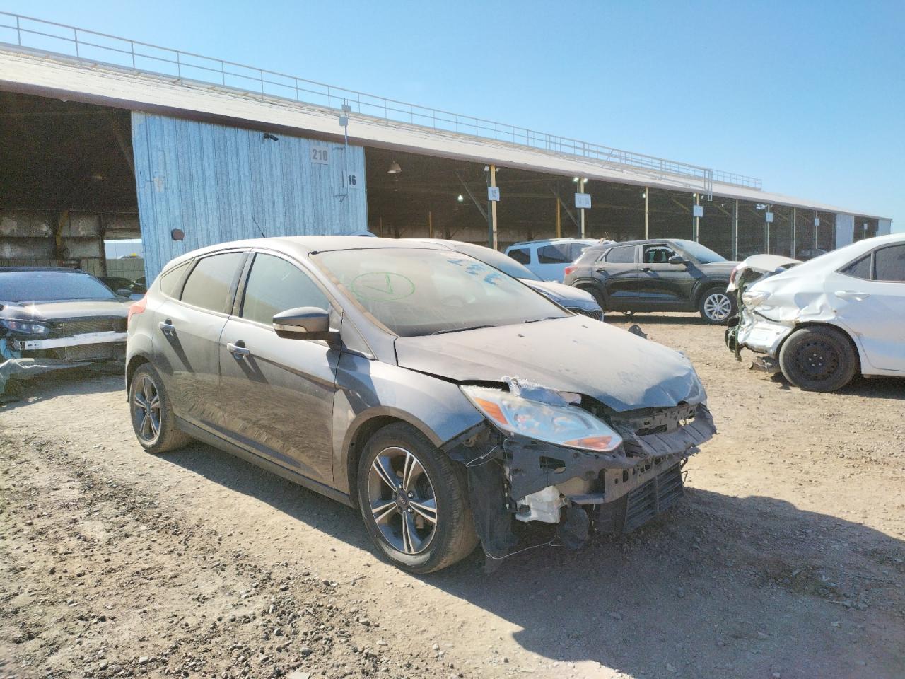 FORD FOCUS SE 2014 with VIN 1FADP3K29EL169572 - Photo from auction