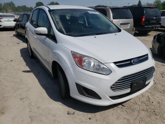 FORD C-MAX SE 2014 with VIN 1FADP5AU0EL519976 - Photo from auction