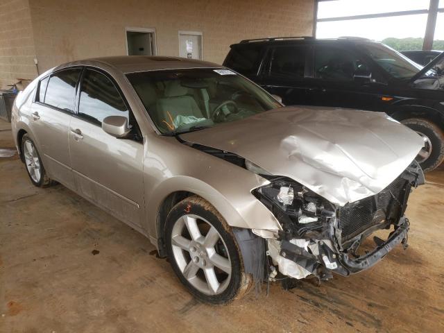 NISSAN MAXIMA SE 2004 with VIN 1N4BA41E24C908094 - Photo from auction