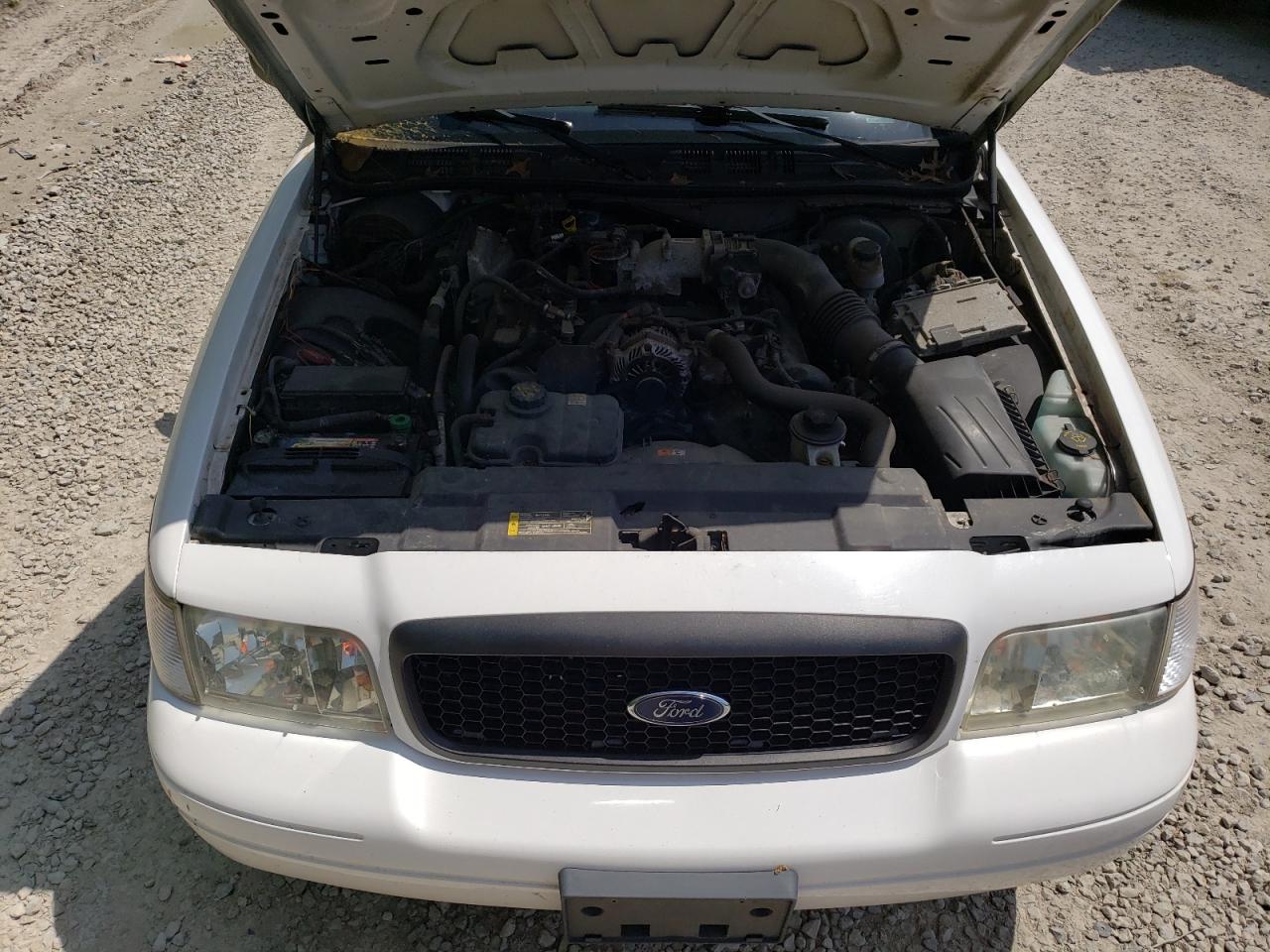 Photo 7 from auction – 2011 FORD CROWN VICT with VIN 2FABP7BV7BX172901