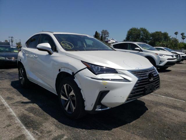 LEXUS NX 300 BAS 2021 with VIN JTJGARBZ4M5026764 - Photo from auction