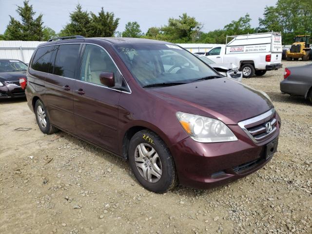 HONDA ODYSSEY EX 2007 with VIN 5FNRL38417B083067 - Photo from auction