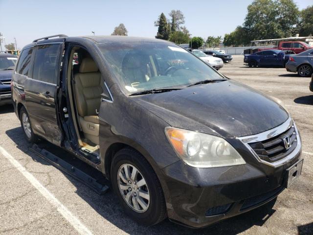 HONDA ODYSSEY EX 2009 with VIN 5FNRL38729B017348 - Photo from auction