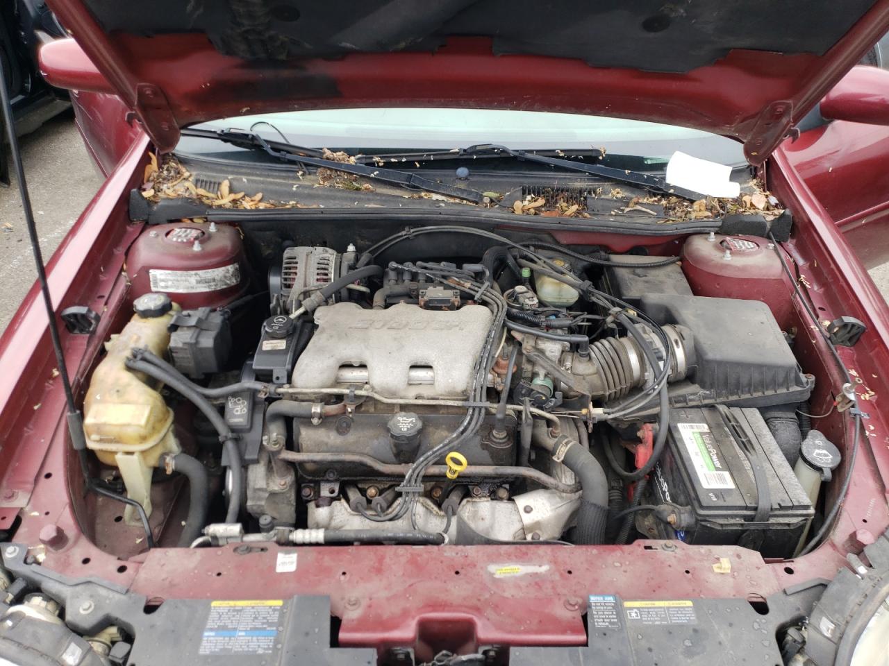 Photo 7 from auction – 2003 CHEVROLET MALIBU LS with VIN 1G1NE52J43M703598
