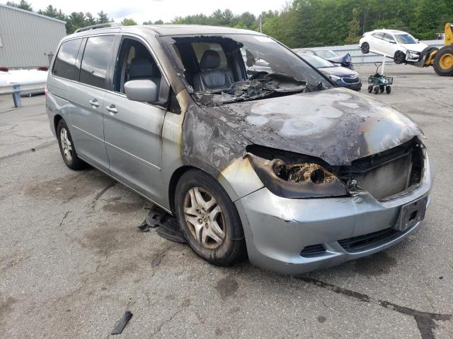 HONDA ODYSSEY EX 2007 with VIN 5FNRL386X7B043586 - Photo from auction