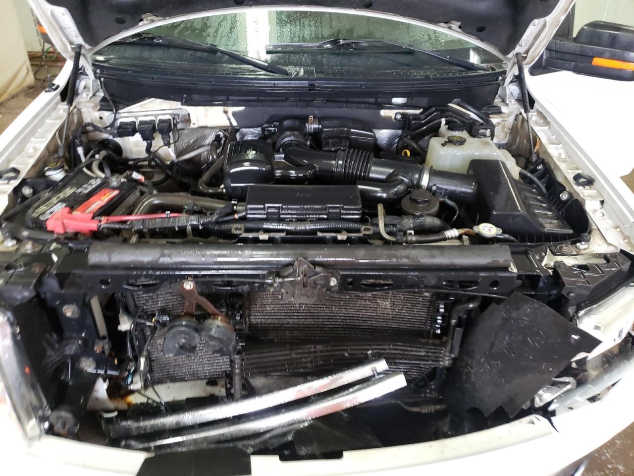 Photo 7 from auction – 2010 FORD F150 SUPER with VIN 1FTFW1EV8AFB19531
