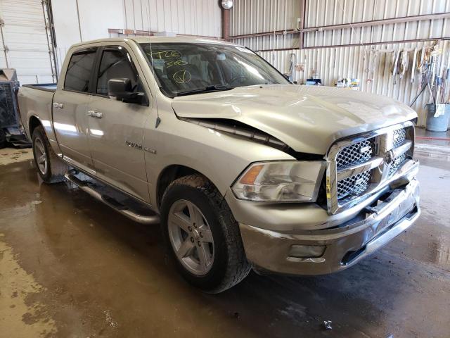 DODGE RAM 1500 2009 with VIN 1D3HB13T19J532798 - Photo from auction