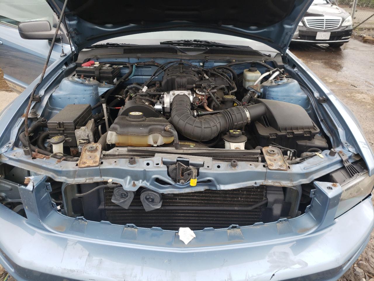 Photo 7 from auction – 2005 FORD MUSTANG with VIN 1ZVFT84N355177283
