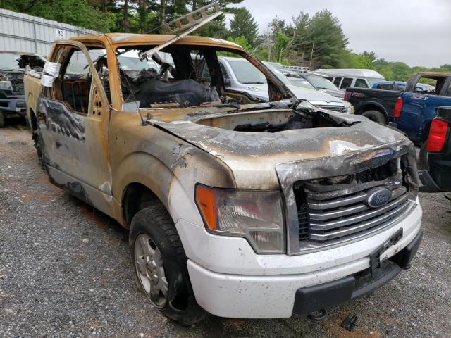FORD F150 SUPER 2014 with VIN 1FTEX1EM5EFB48782 - Photo from auction