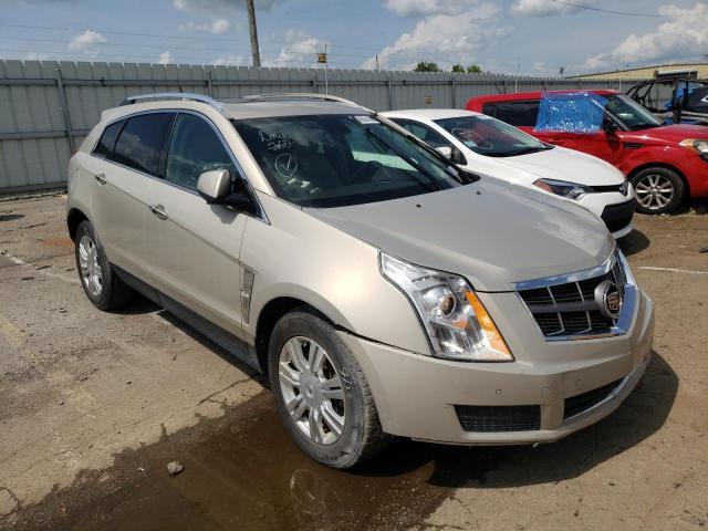 CADILLAC SRX LUXURY 2011 with VIN 3GYFNDEY9BS569257 - Photo from auction