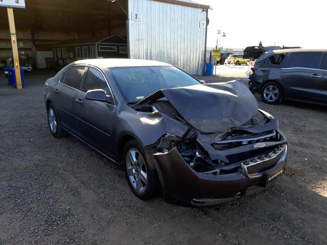 CHEVROLET MALIBU 1LT 2010 with VIN 1G1ZC5EB2AF319302 - Photo from auction