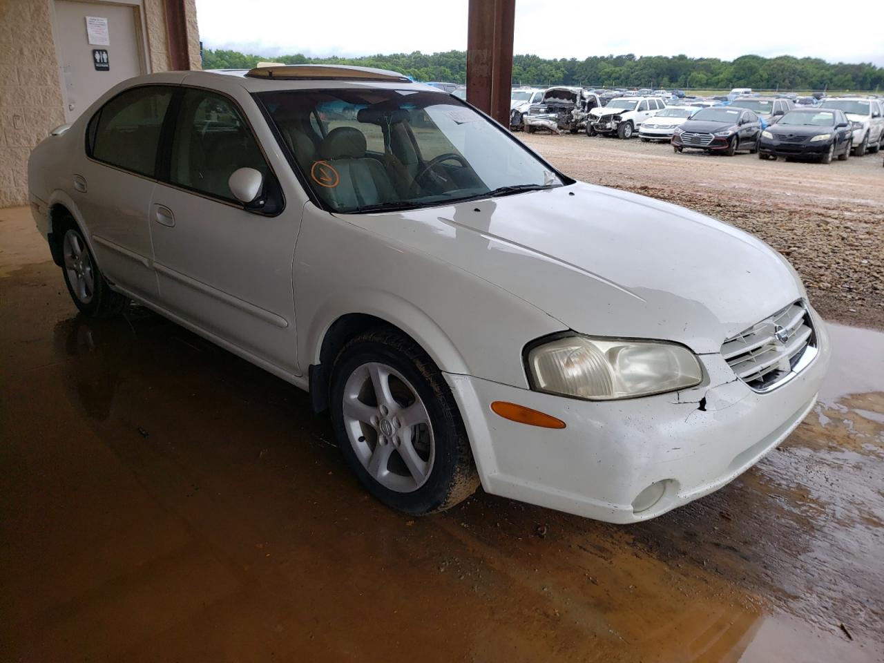 NISSAN MAXIMA GXE 2001 with VIN JN1CA31A91T305423 - Photo from auction