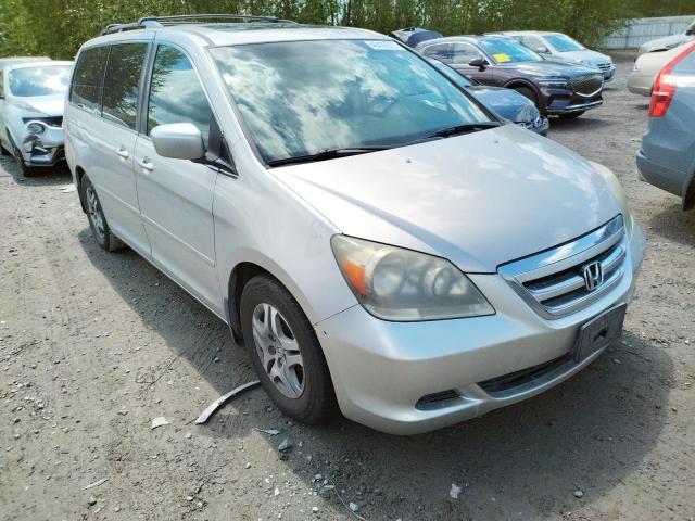 HONDA ODYSSEY EX 2005 with VIN 5FNRL38755B034882 - Photo from auction